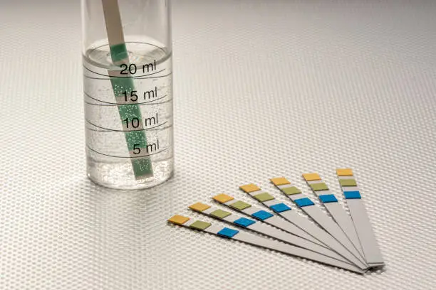 A Homeowner’s Guide to Water Quality Testing
